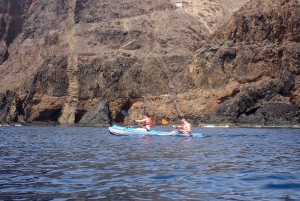 Calheta Kayak Adventure: Zimbralinho beach or Cal islet tour