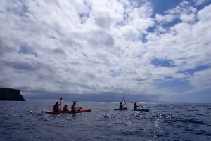 Calheta Kayak Adventure: Zimbralinho beach or Cal islet tour