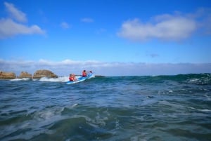 Calheta Kayak Adventure: Zimbralinho beach or Cal islet tour