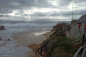 Calheta: Southwest Coastline Van tour