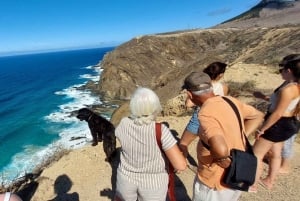 Calheta: Southwest Coastline Van tour