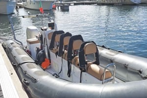 Calheta: Whale & dolphin watching small groups designer tour