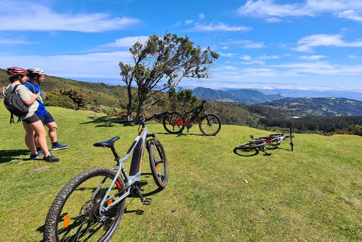 Camacha: Levada Trail e-Bike Guided Tour