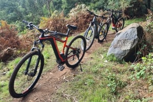 Camacha: Levada Trail e-Bike Guided Tour