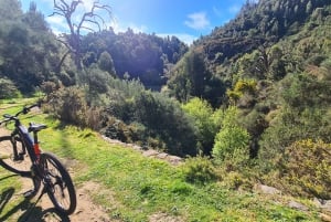 Camacha: Levada Trail e-Bike Guided Tour