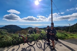 Camacha: Levada Trail e-Bike Guided Tour