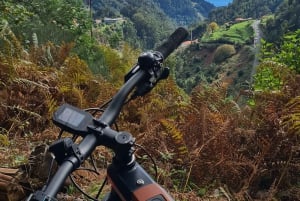 Camacha: Levada Trail e-Bike Guided Tour