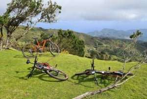 Camacha: Levada Trail e-Bike Guided Tour