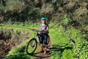 Camacha: Levada Trail e-Bike Guided Tour