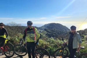 Camacha: Levada Trail e-Bike Guided Tour