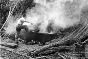 Camacha – sztuka plecionkarstwa