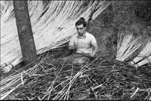 Camacha – sztuka plecionkarstwa