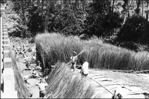 Camacha – sztuka plecionkarstwa