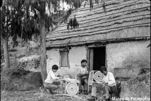 Camacha – sztuka plecionkarstwa