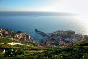 Camara de Lobos: 1.5-Hour Tour in a Tuk Tuk