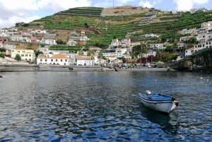 Camara de Lobos: 1.5-Hour Tour in a Tuk Tuk