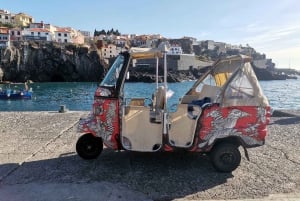 Funchal: Câmara de Lobos Churchill Bay Guided Tuk Tuk