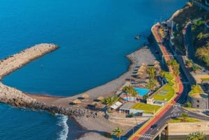 Câmara de Lobos, Pico da Torre, and Porto Moniz Tour