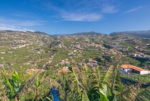 Câmara de Lobos, Pico da Torre, and Porto Moniz Tour