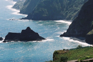 Câmara de Lobos, Pico da Torre, and Porto Moniz Tour