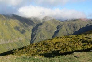Câmara de Lobos, Pico da Torre, and Porto Moniz Tour