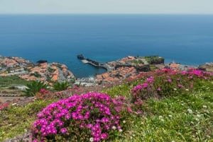 Câmara de Lobos: Private Fishing Village Tour by Tuk-Tuk