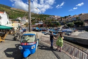 Câmara de Lobos: Private Fishing Village Tour by Tuk-Tuk