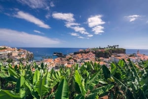 Câmara de Lobos: Private Fishing Village Tour by Tuk-Tuk