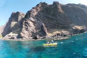 Câmara de Lobos: Private Guided Kayaking Tour in Madeira