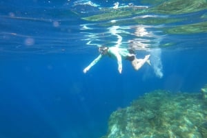 Câmara de Lobos: Private Guided Kayaking Tour in Madeira