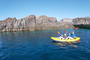 Câmara de Lobos: Private Guided Kayaking Tour in Madeira