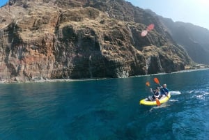 Câmara de Lobos: Private Guided Kayaking Tour in Madeira