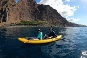 Câmara de Lobos: Private Guided Kayaking Tour in Madeira