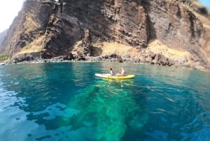 Câmara de Lobos: Private Guided Kayaking Tour in Madeira