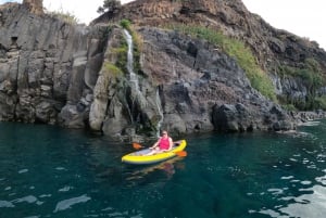 Câmara de Lobos: Private Guided Kayaking Tour in Madeira