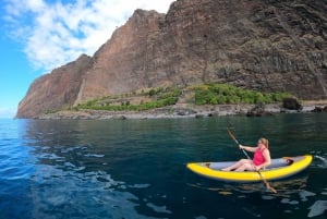 Câmara de Lobos: Private Guided Kayaking Tour in Madeira