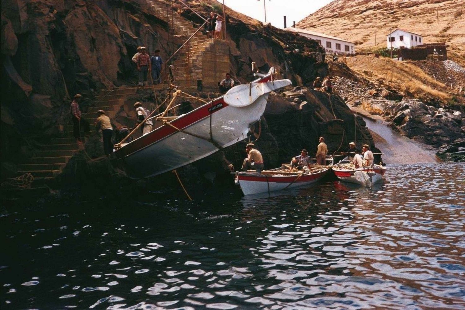 Caniçal: Madeira Whale Museum Entry Ticket and Private Tour