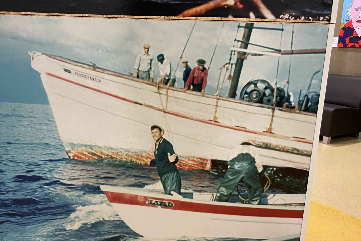 Caniçal: Eintrittskarte für das Walmuseum von Madeira und private Tour