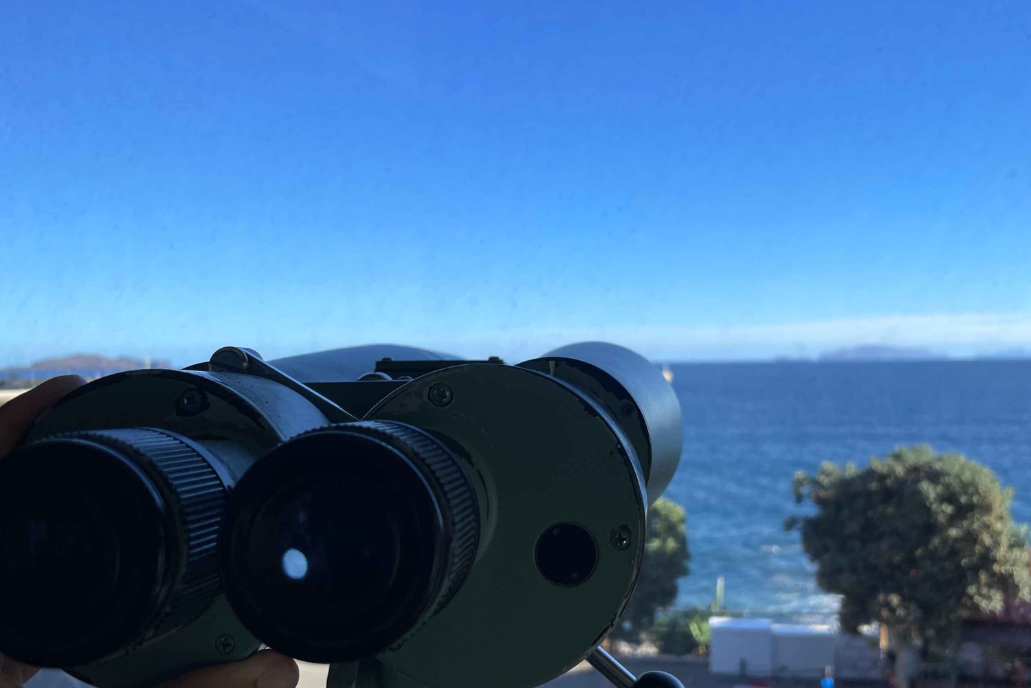 Caniçal: Eintrittskarte für das Walmuseum von Madeira und private Tour