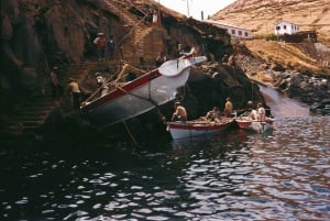 Caniçal: bilet wstępu do muzeum wielorybów na Maderze i prywatna wycieczka