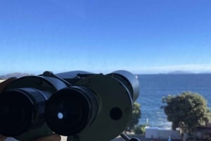 Caniçal: bilet wstępu do muzeum wielorybów na Maderze i prywatna wycieczka