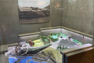 Caniçal: bilet wstępu do muzeum wielorybów na Maderze i prywatna wycieczka