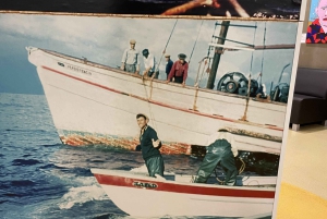 Caniçal: Eintrittskarte für das Walmuseum von Madeira und private Tour