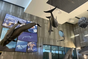 Caniçal: Eintrittskarte für das Walmuseum von Madeira und private Tour