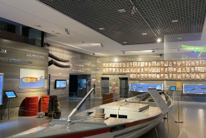 Caniçal: Eintrittskarte für das Walmuseum von Madeira und private Tour