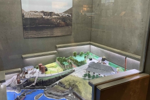 Caniçal: Eintrittskarte für das Walmuseum von Madeira und private Tour