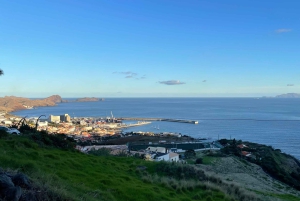 Caniçal: Eintrittskarte für das Walmuseum von Madeira und private Tour