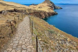 Funchal: Caniçal UNESCO Self-Guided Ponta São Lourenço Hike