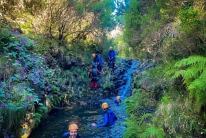 Canyoning in Madeira: Ideal for First-Timers and Families