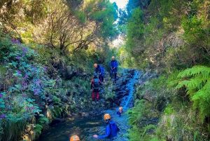 Canyoning op Madeira: ideaal voor beginners en gezinnen